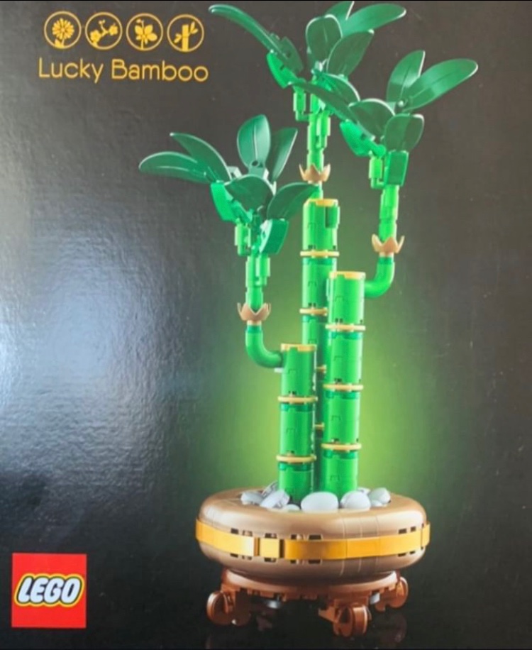 BlogsBrick's tweet photo. Lego Botanical Collection Lucky Bamboo set first look image

325 Pieces / $29.99 / 1st Jan 2025

#Lego #Legonews #Legoleaks #LegoBotanicalCollection #Botanical https://t.co/ly9MEI7XH1