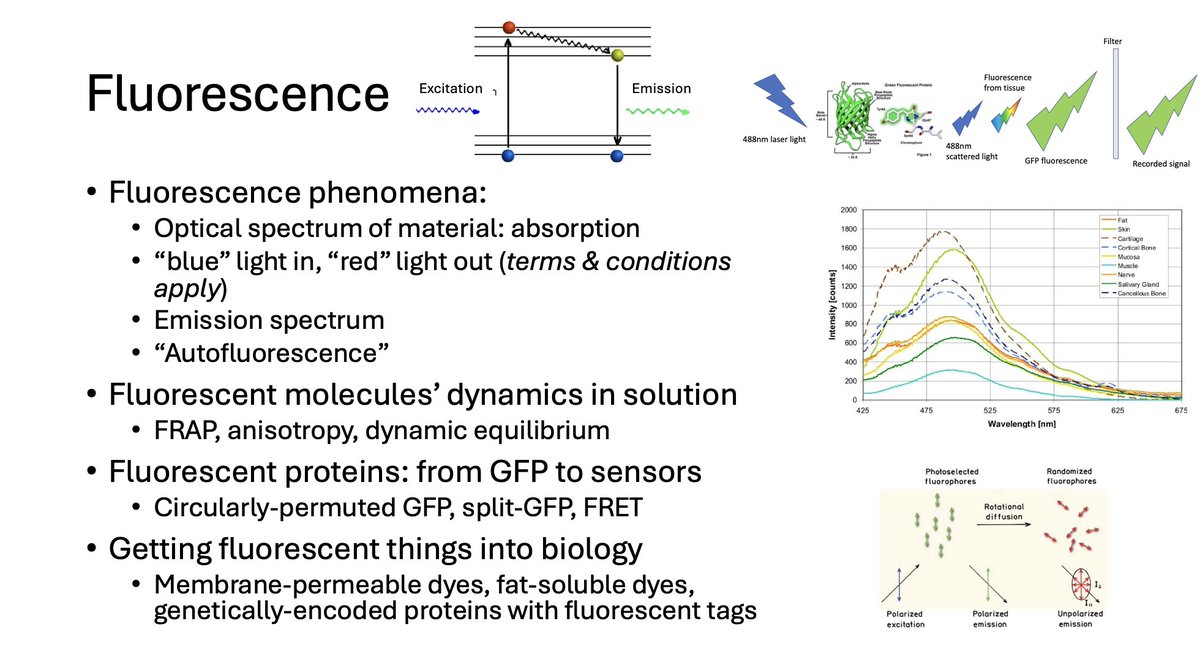 andrey a tweet media