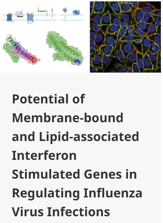 Prof Muhammad Munir (@virologistmunir) on Twitter photo I am offering a 4 year fully funded PhD position in collaboration with Connor Bamford <a href="/cggbamford/">Connor G. G. Bamford, Ph.D</a> (Belfast). If you are interested in influenza virus-regulated immunity in multiple hosts (<a href="/ZoonosesJ/">Zoonoses</a>), this is the right choice for you.
<a href="/Pirbright_Inst/">The Pirbright Institute</a>
gla.ac.uk/postgraduate/d… I am offering a 4 year fully funded PhD position in collaboration with Connor Bamford <a href="/cggbamford/">Connor G. G. Bamford, Ph.D</a> (Belfast). If you are interested in influenza virus-regulated immunity in multiple hosts (<a href="/ZoonosesJ/">Zoonoses</a>), this is the right choice for you.
<a href="/Pirbright_Inst/">The Pirbright Institute</a>
gla.ac.uk/postgraduate/d…