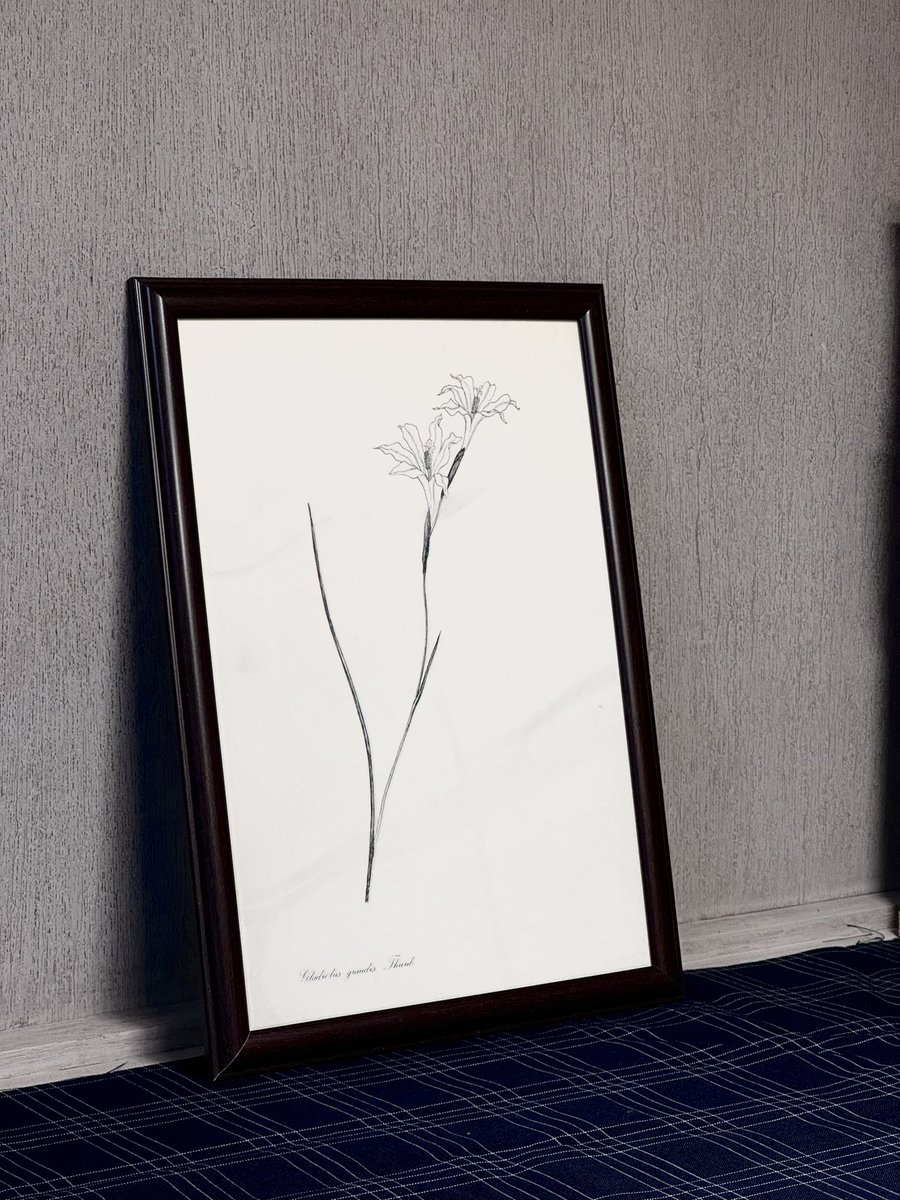 本日の植物コーナー！！
なぞのはなってタイトルの切り抜き(本)
こちらも立派な植物🪴
植物すぐからしちゃうんだよねって方、実は多くって、そんなあなたにイチ押し！
これは水をやらなくて大丈夫だし一生枯れない！！
お部屋にひとつ置くだけでおしゃんです✨
植物好きが増えますようにっ！！🌷