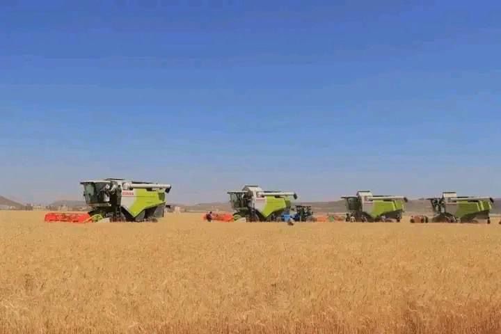 hussinalezzi5's tweet photo. بفضل الله ثم بفضل السيدالقائد ومتابعته الحثيثة للجانب الزراعي ومايوليه حفظه الله من دعم وتشجيع دائم ومتعاظم كل ذلك أشعل الهمم والعزائم محدثاً قفزات هائلة وغير مسبوقة في استصلاح الاراضي وزراعة القمح ويعكس حجم الزحف الأخضر-وتنامي مساحاته -عملا زراعيا هوالأكبر خلال المائةعام الاخيرة https://t.co/SV0MZLWikW
