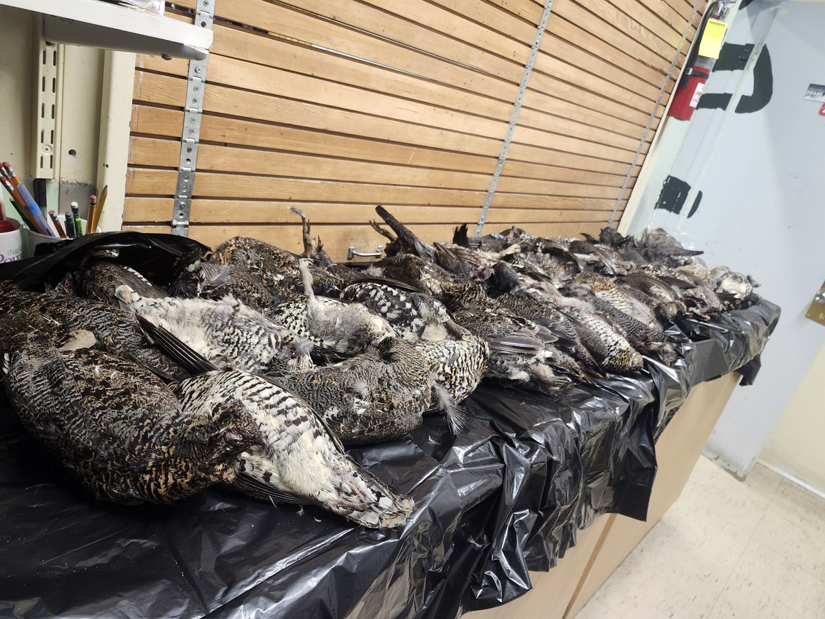 Jenn Baker tweet media