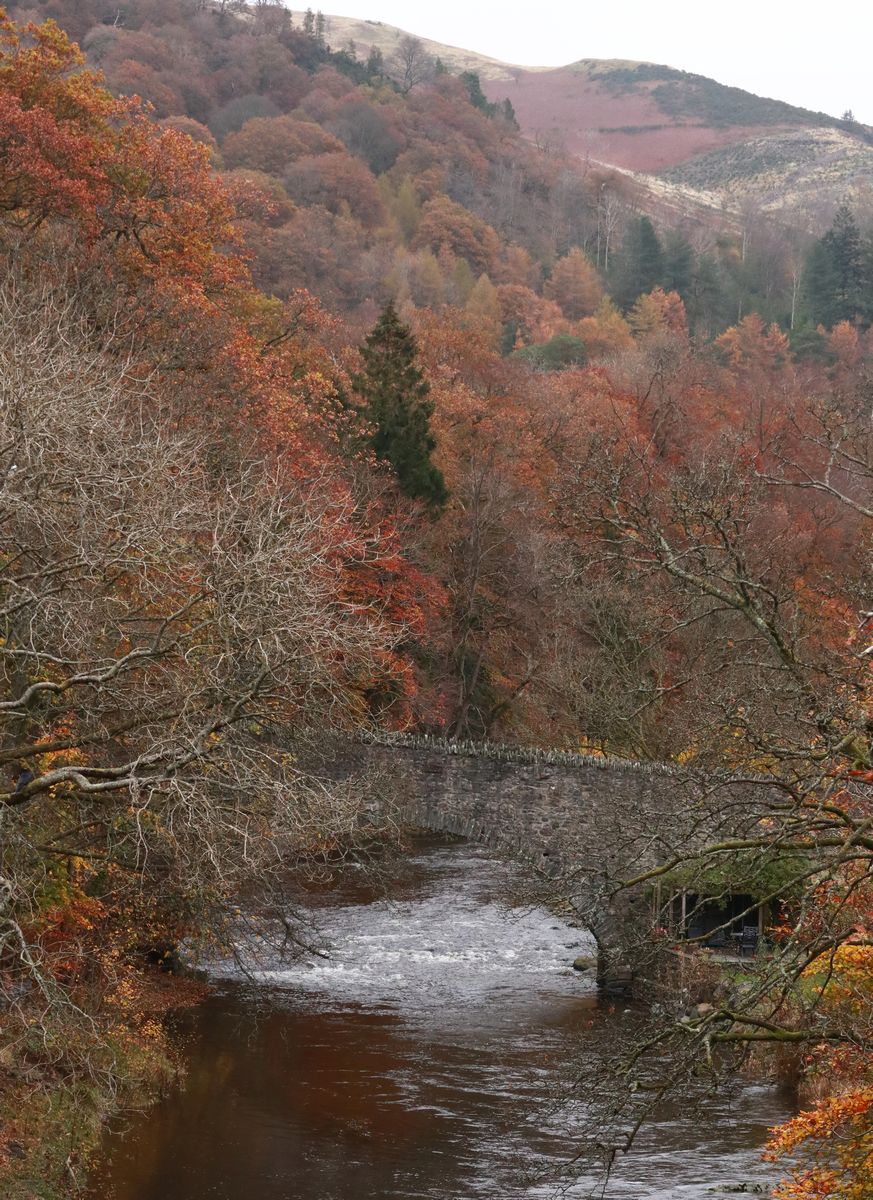 #LakeDistrictDiary day 2 part 1
A walk along the Keswick to Threlkeld railway trail. Spectacular colours 🍂🍁
Earned a lovely lunch at the Threlkeld cafe
<a href="/keswickbootco/">Keswick boot co</a>