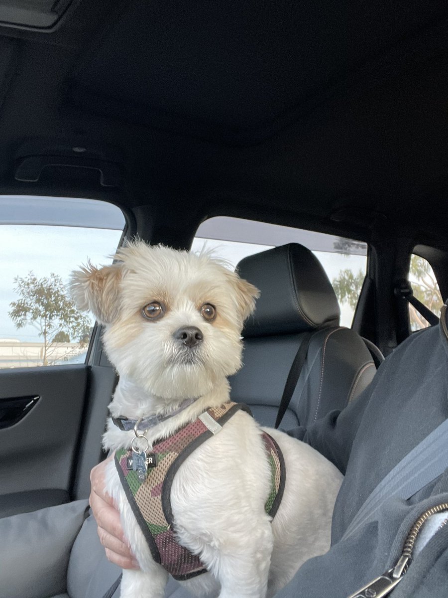 Jus Gus tweet media