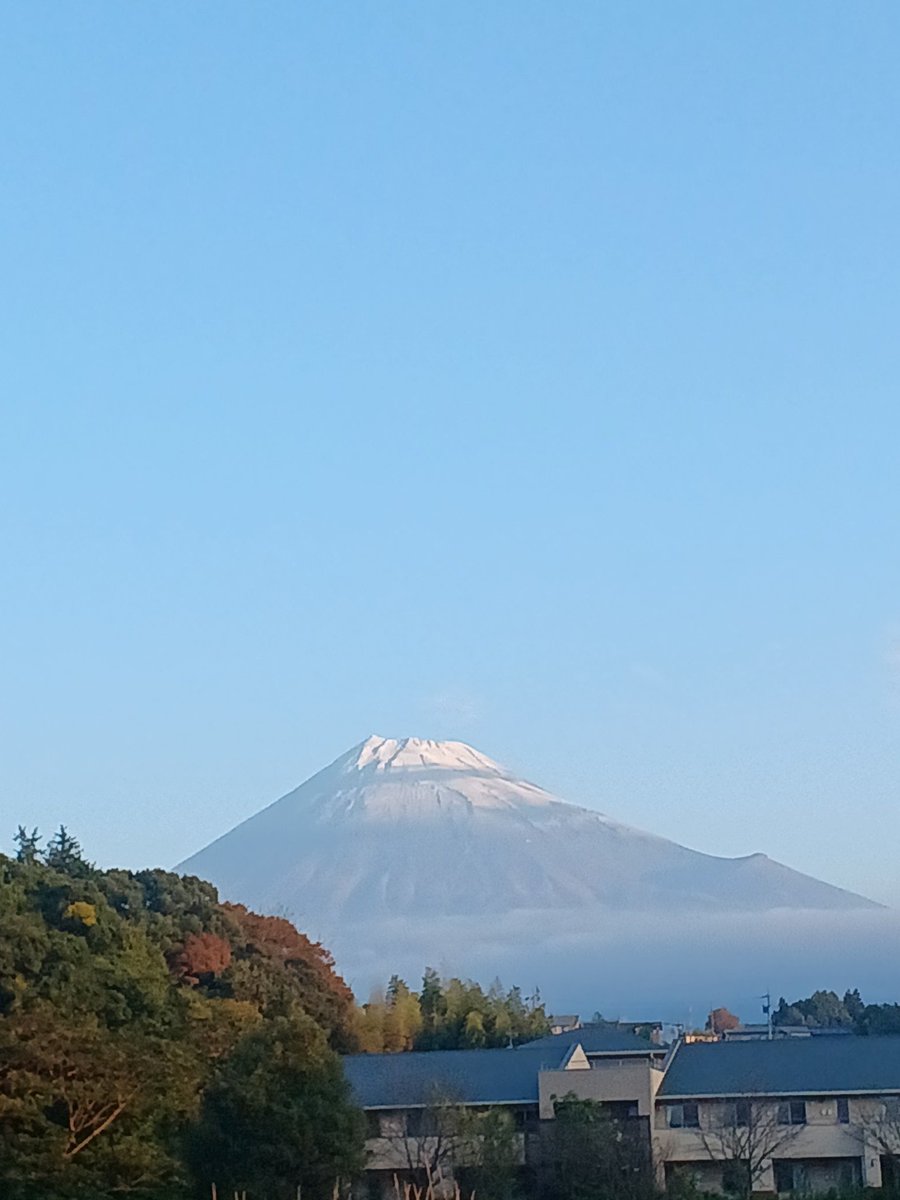 goodandbadjapan tweet media