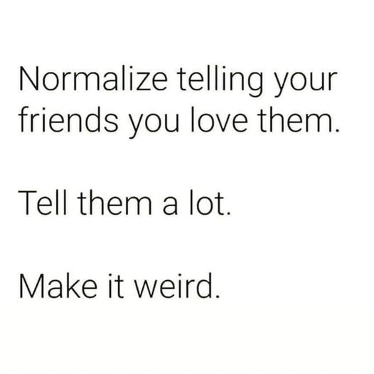 woofknight's tweet image. 