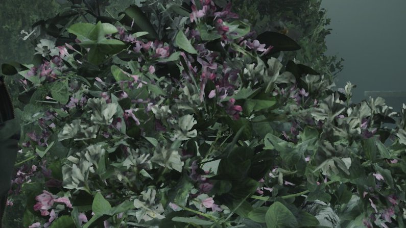 hveansnight's tweet photo. lakeview hotel flowers ✾ https://t.co/x4dCqVw2an