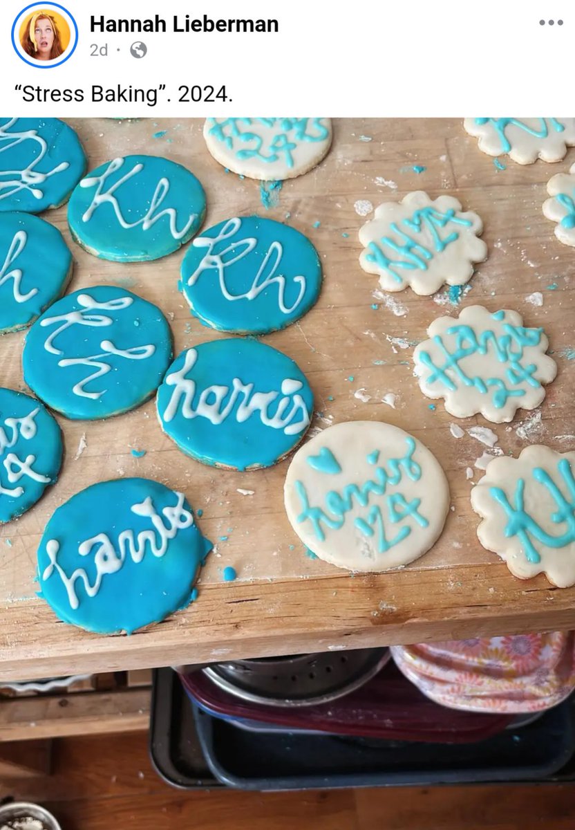 NoahFromNC's tweet photo. @jlemonsk My sister has been taking the bus (full of canvassers) from NYC to PA every day for GOTV. 
She also stress baked them some cookies... https://t.co/Ibq6xORILU