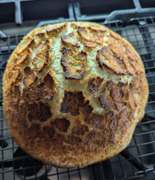 CanadianRed1970's tweet photo. @wrexhameire It's a bread day! https://t.co/ohMyWmPQku