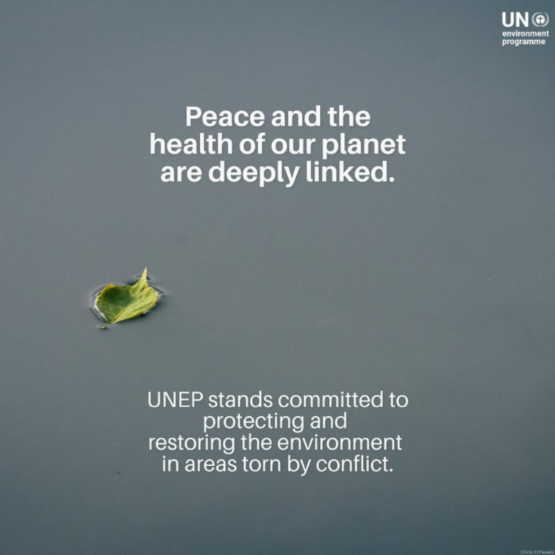 UN's tweet photo. War devastates communities &amp; the environment.

Protecting the natural resources that sustain livelihoods &amp; ecosystems is key for lasting peace.

Wednesday is the Int’l Day for Preventing the Exploitation of the Environment in War &amp; Armed Conflict.

#EnvConflictDay — via @UNEP