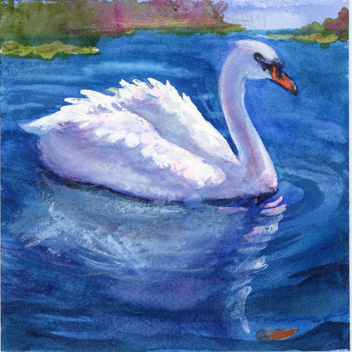 LifeImitatesDdl's tweet image. #DoodlewashNovember2024 prompt: Swan.
Did you know swan eggs are the largest eggs of any bird that can fly?
Paul Ruben’s Floral Watercolor set and white gouache on Strathmore Ready Cut Cold Press.
#paulrubensart #paulrubenswatercolor #WorldWatercolorGroup