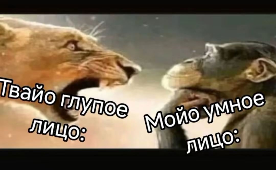 Linettaa_'s tweet photo. Солас и Рук https://t.co/oUNnjB820P