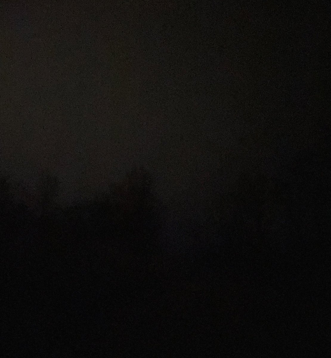 where the fuck are the polls