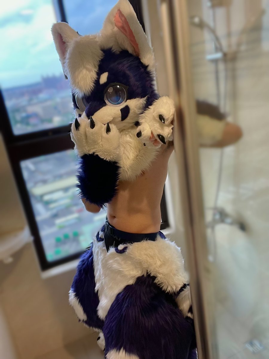 黑糖．悠 BSYo🦊🔜UTFG2026 tweet media