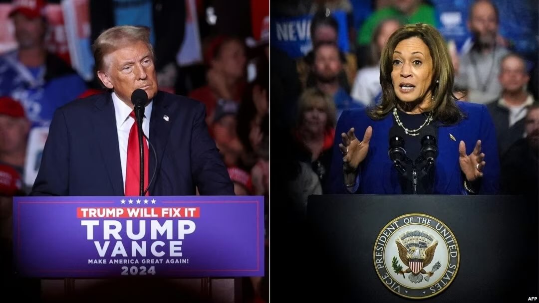 盛雪SHENG Xue tweet media