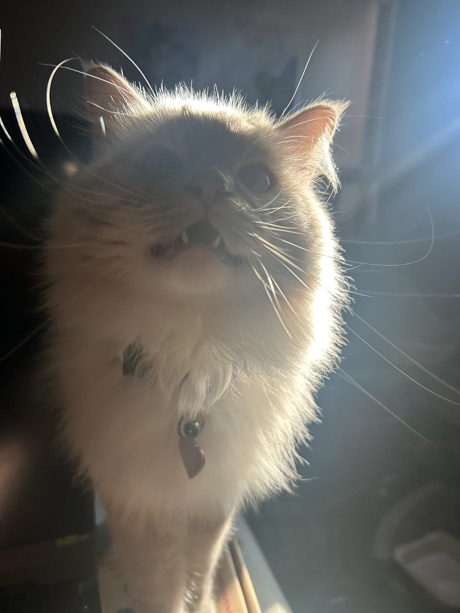 she doesn't look real sometimes