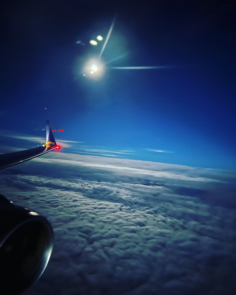 Kimberly McCoy tweet media