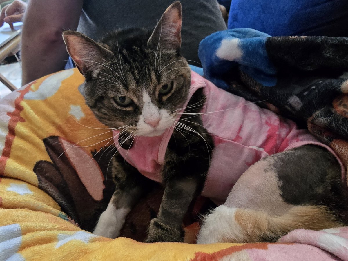 anxious potato person tweet media