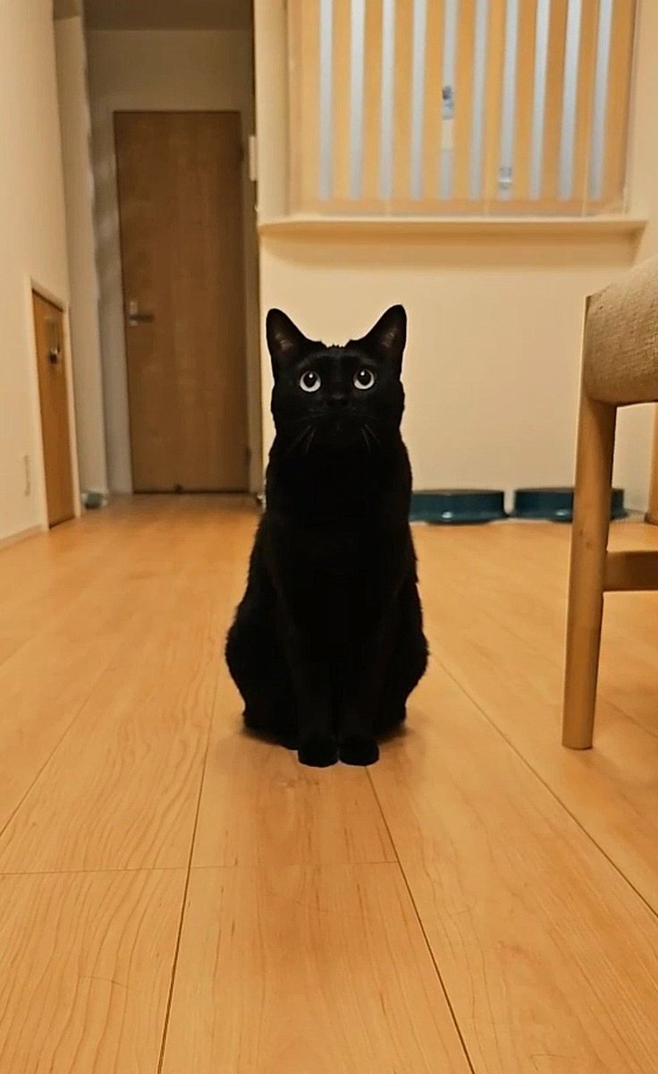 上目遣いがうますぎる