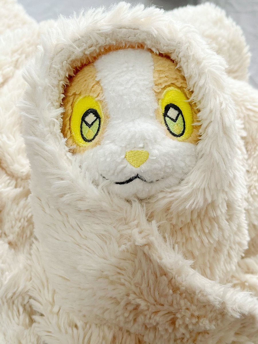 ぼそぼそのワンパチ (@bosopachi) on Twitter photo 