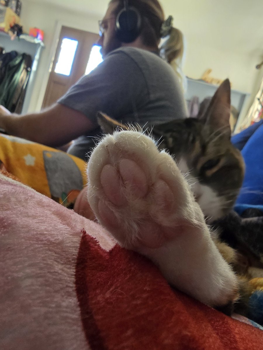 anxious potato person tweet media