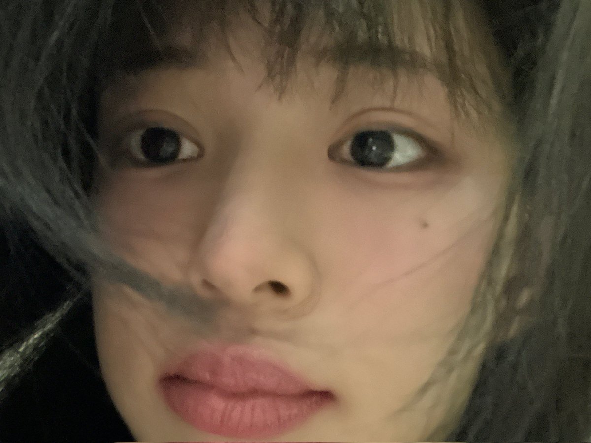 fromis_9 file 🍀 tweet media