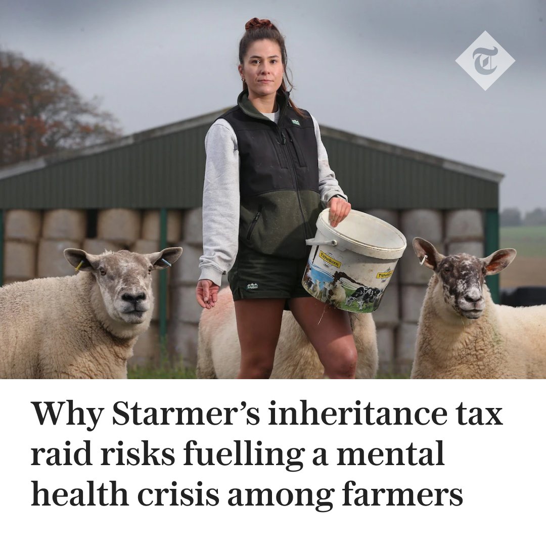 The Telegraph tweet media