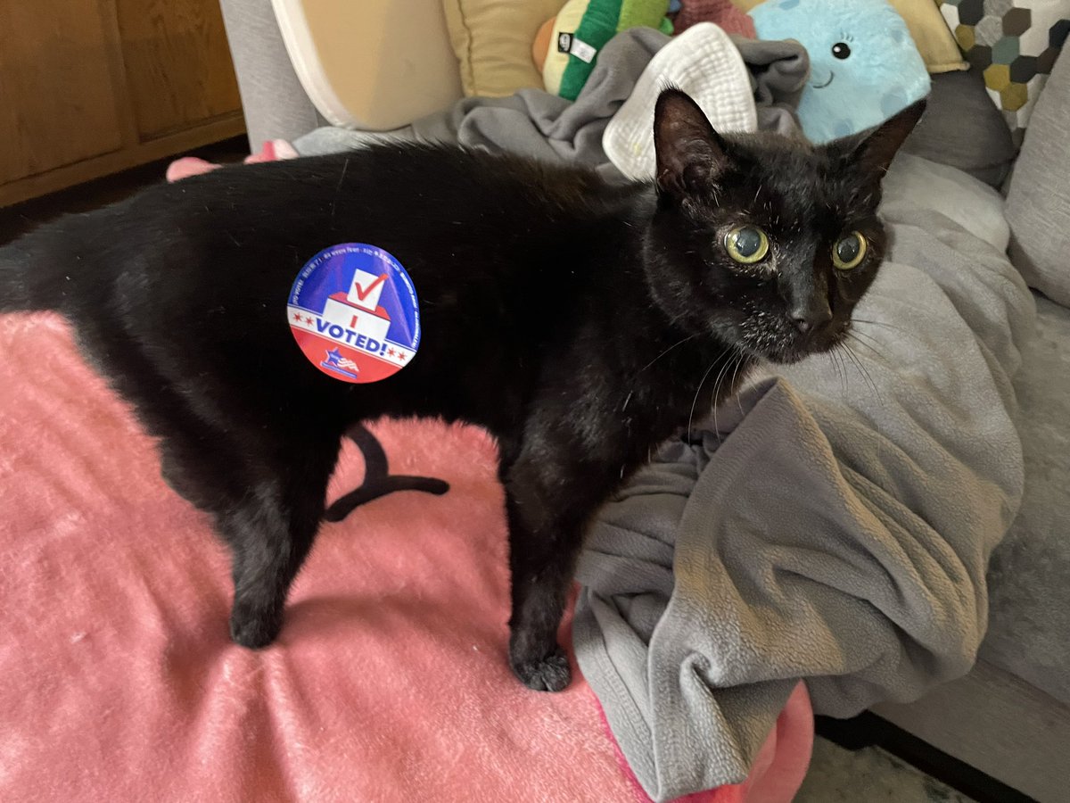 RAIBot01's tweet photo. Voted! #CatsForKamala https://t.co/T9IQQrQAqr