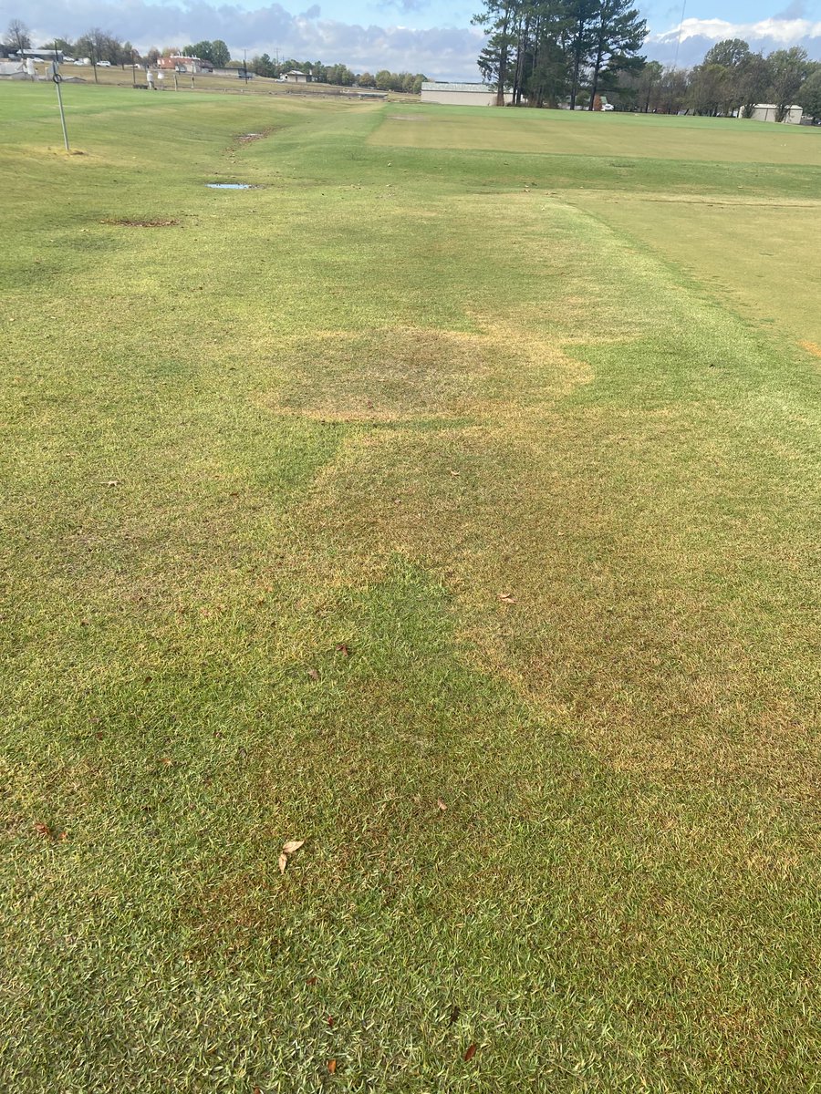 Wendell Hutchens tweet media