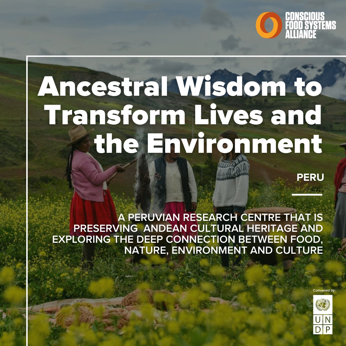 Sheilla Baldeón 🌊🌱 (@sheillabaldeon) on Twitter photo 🌱I’m thrilled to share the Case Study No. 19 that I co-authored with #CoFSA of <a href="/UNDP/">UN Development</a> and <a href="/MaterIniciativa/">MaterIniciativa</a>
Sustainable future 🌍rooted in #ancestralwisdom and #modernscience
🌱 Read the case studies report here: lnkd.in/eCHKT5c9 🌱I’m thrilled to share the Case Study No. 19 that I co-authored with #CoFSA of <a href="/UNDP/">UN Development</a> and <a href="/MaterIniciativa/">MaterIniciativa</a>
Sustainable future 🌍rooted in #ancestralwisdom and #modernscience
🌱 Read the case studies report here: lnkd.in/eCHKT5c9