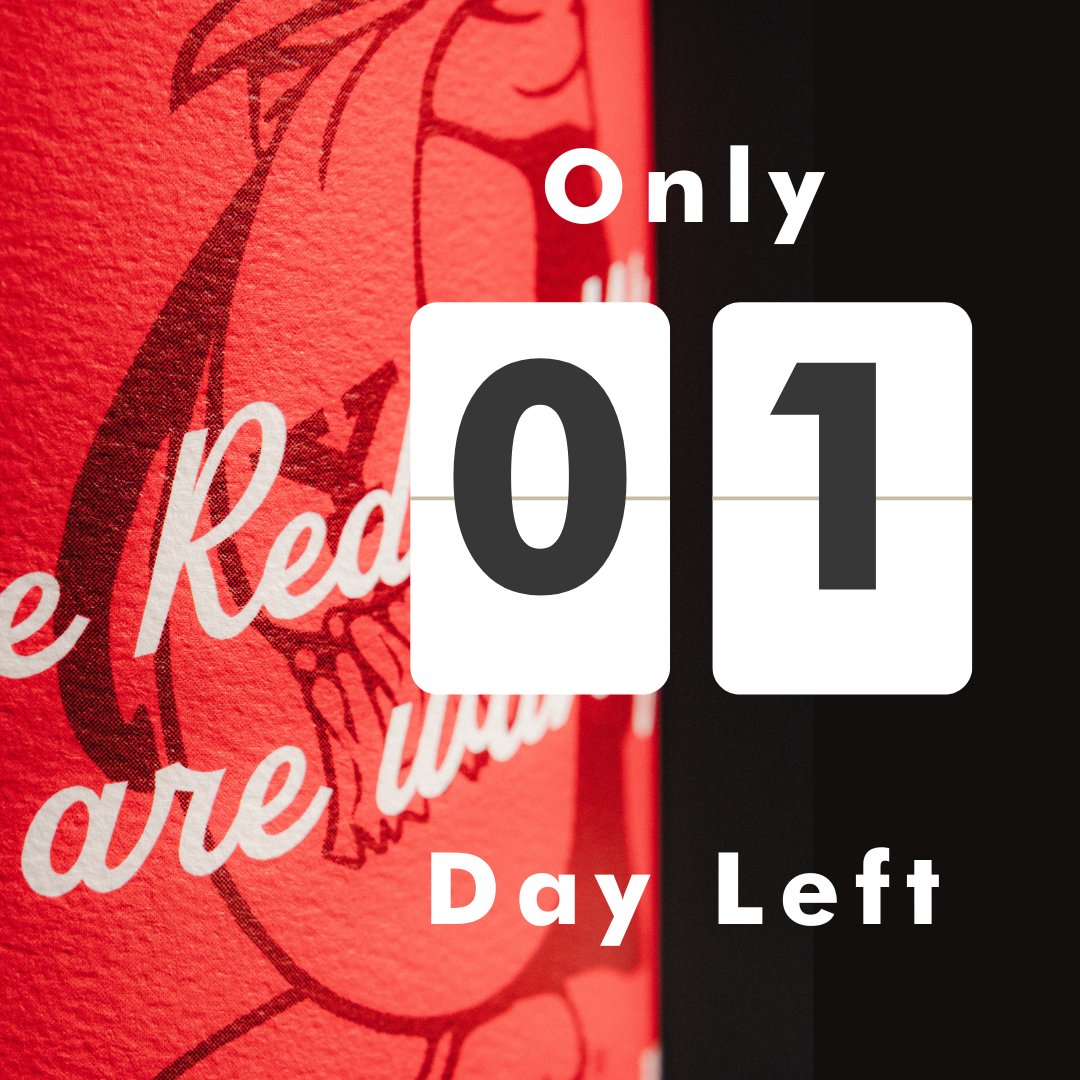 ThePenguinCollective tweet media