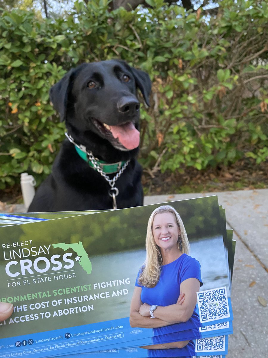 LindsayCrossFL's tweet photo. Been with me since sunrise, and now after sunset. Grateful for the best campaign canine ever!
#cooperandcross #crossforflhouse https://t.co/I7KmaLwQka
