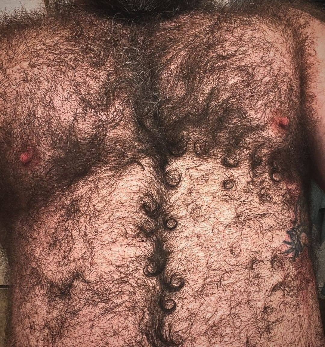 trimmer202324's tweet photo. Wow!!! It’s difficult to find curly black thick beauty hair like this. This is a fur 🐻🥰🤗🔥 https://t.co/gSVxThzoYR