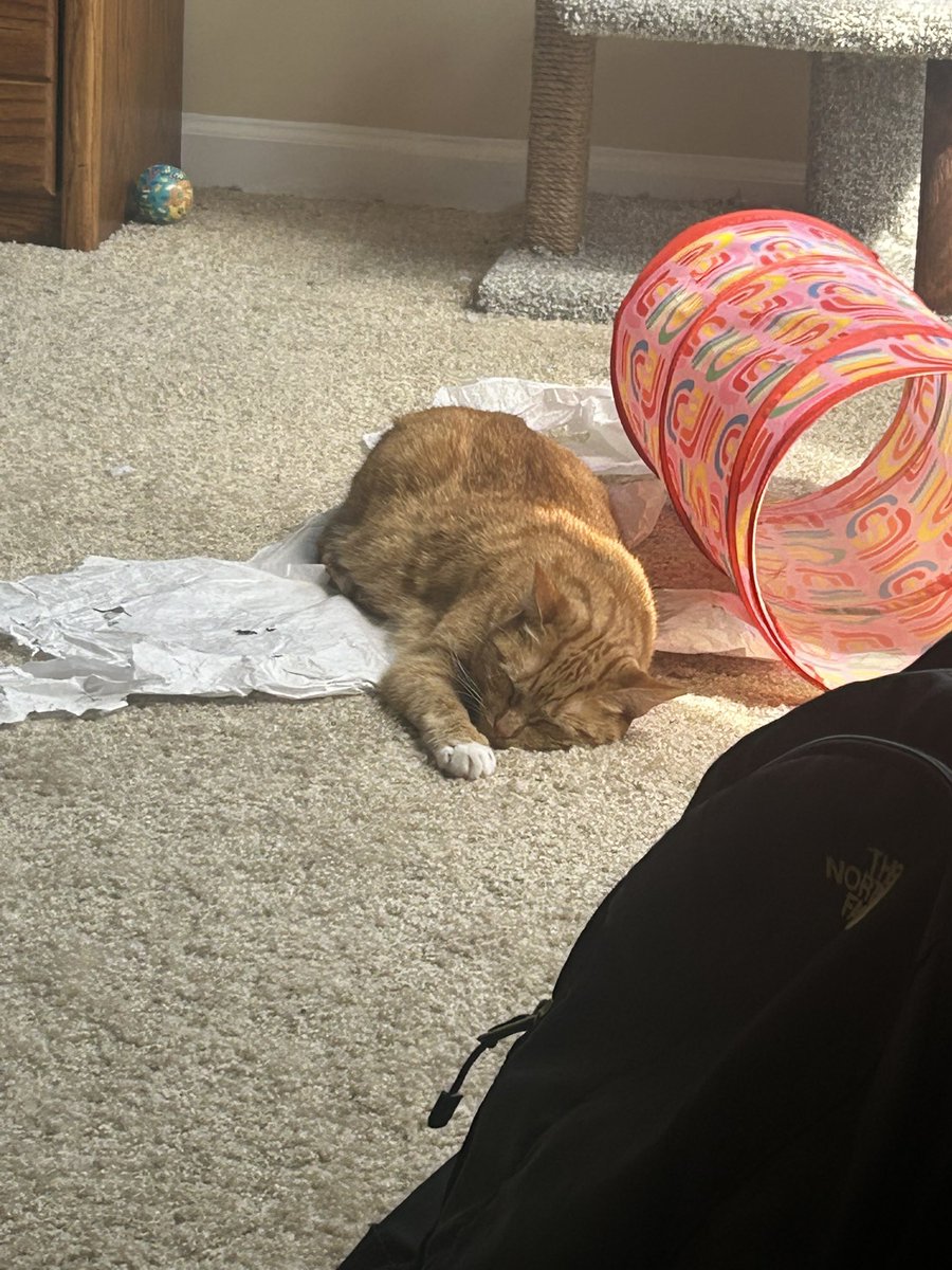 Caroline J. Trussell- LIBERATED is Officially Out! tweet media