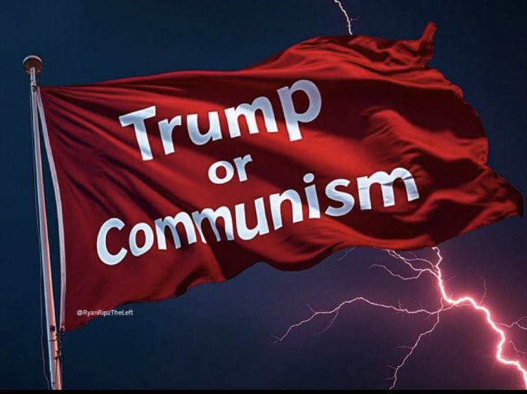 his4Everz's tweet image. If you haven’t voted already it’s not too late! Men, that includes you! We need this win to save America!! 💪🏻🇺🇸

It’s going to be close! We CANNOT let the commie democRATS win!! 

#VoteTrump2024 #VoteRed