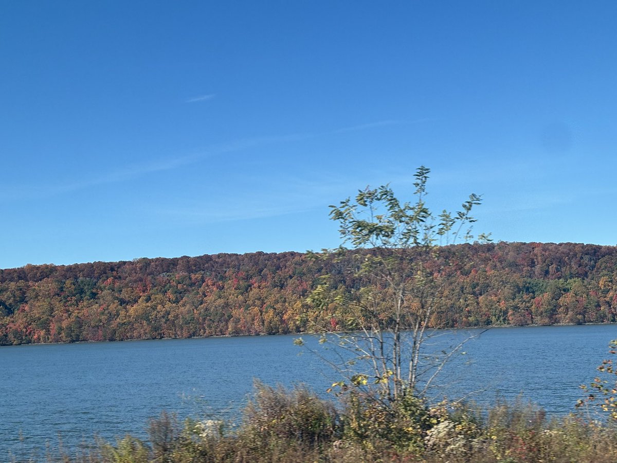 notEdwinJ's tweet photo. 5K run and a View. Don’t mind the Digital Diary. #running #hiking https://t.co/6lezH4AvC3