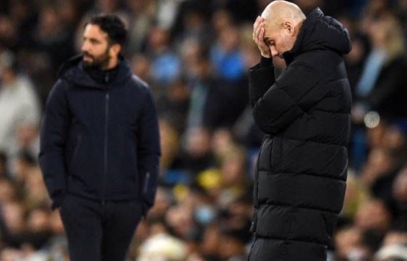 rexofnb's tweet image. 