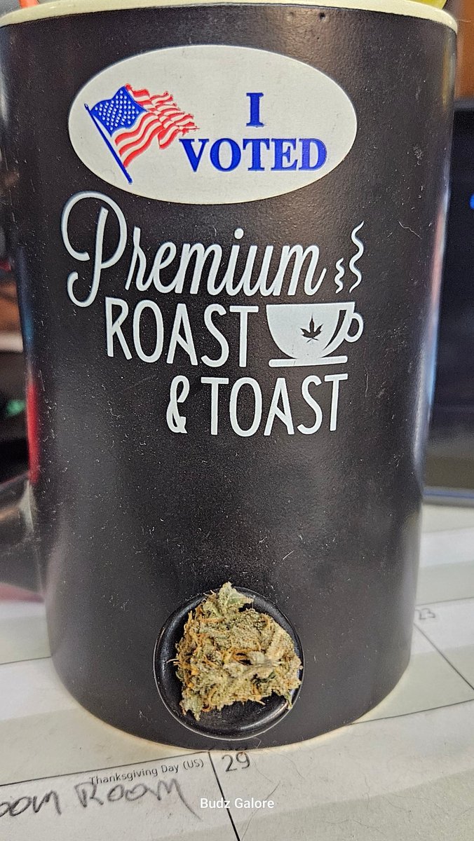 n2xtx's tweet photo. Beautiful day for voting! #growyourown @Henry117_ #weedmob #Mmemberville #CannabisCommunity #cannabisindustry #cannabisculture #cannabisgrower #Irvinearmy #StonerFam #420Life #420community #WeedLovers #weedlife #smartgrowsystem https://t.co/fy3zJCe1RN