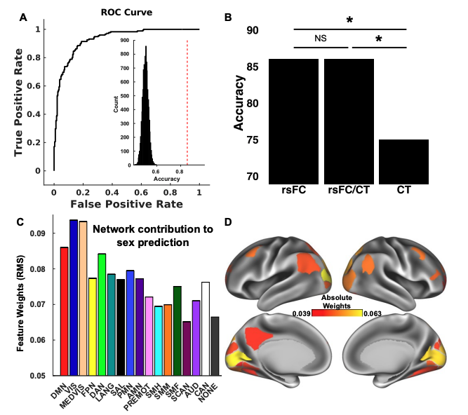 Brain functional connectivity, but not neuroanatomy, captures the interrelationship between sex and gender in preadolescents | bioRxiv biorxiv.org/content/10.110…