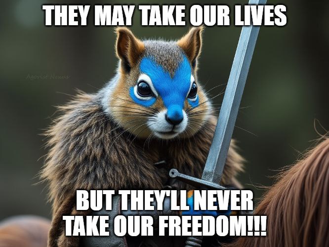 Justdefi69's tweet photo. Countdown begins.... grap a #CypherPunkSquirrel for cheap and grap a ticket for the giveaway.

Show your support for the #FreeRoss movement:https://t.co/ewGvzmIPYX https://t.co/wbZTBQeXeb