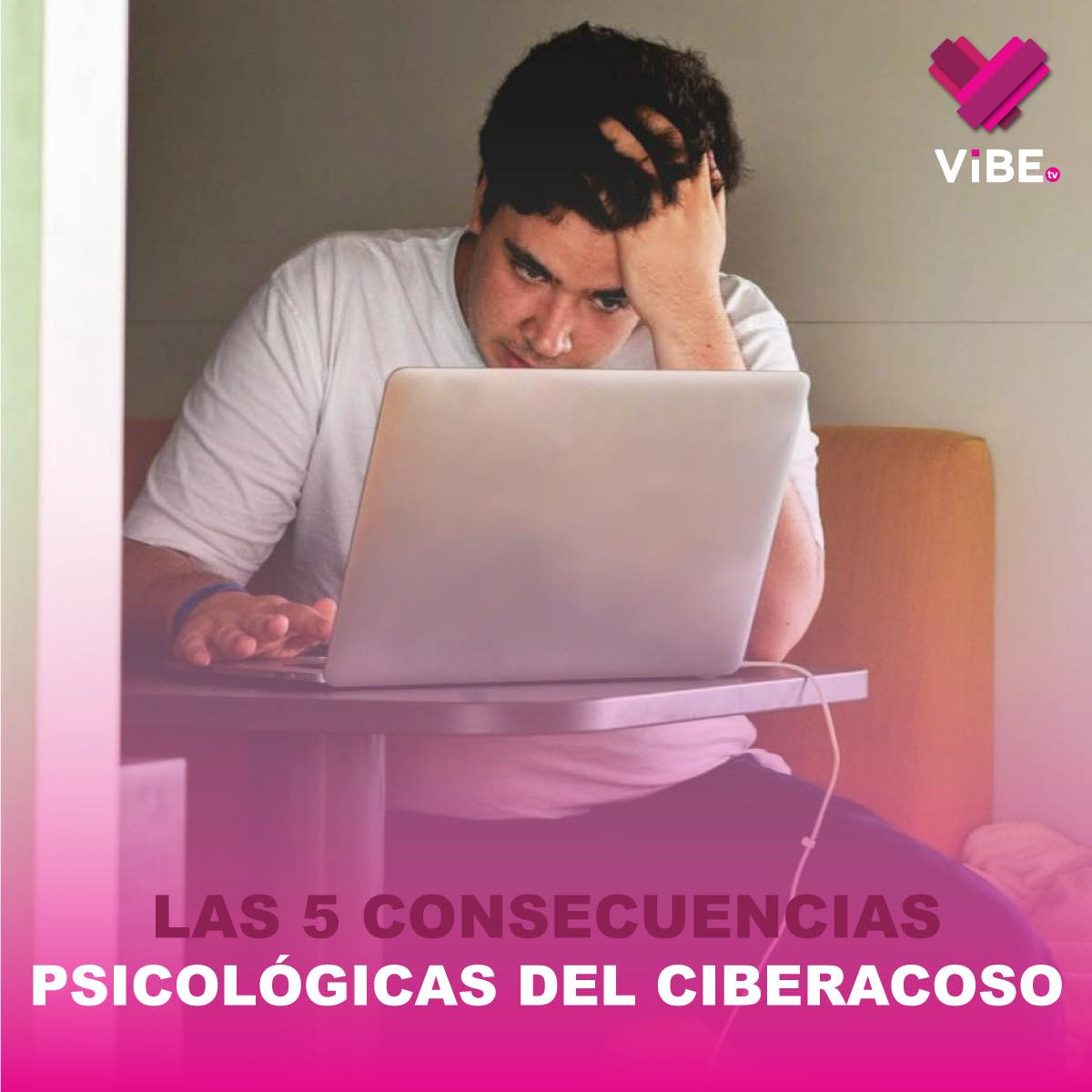 ViBE TV tweet media