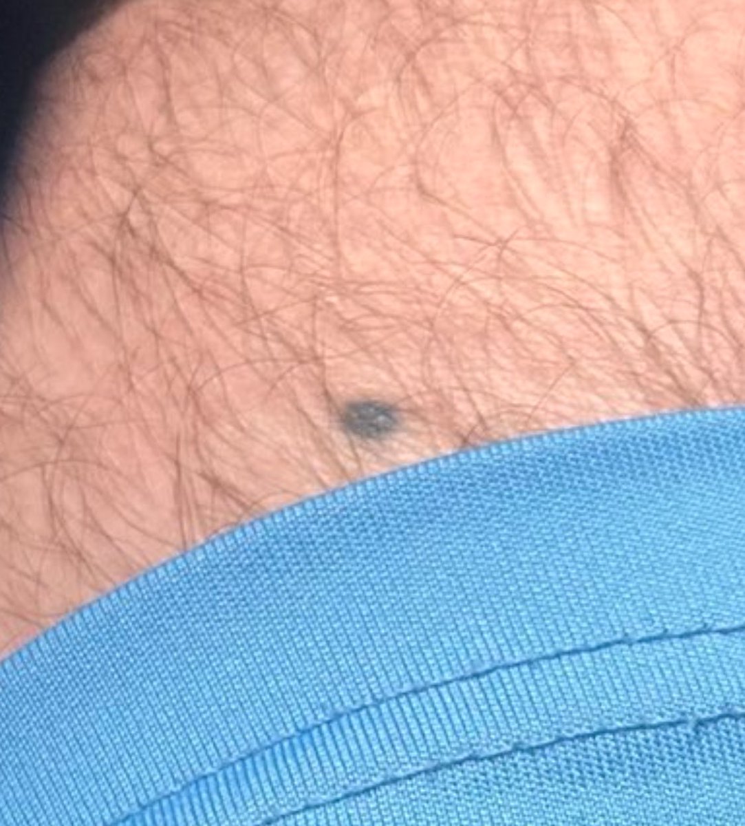 Bill Danse Macabre tweet media