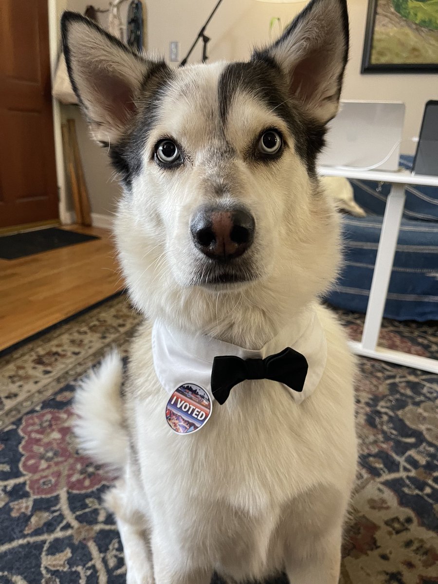 RarkMolfs's tweet photo. #vote https://t.co/Yime1VVLOq