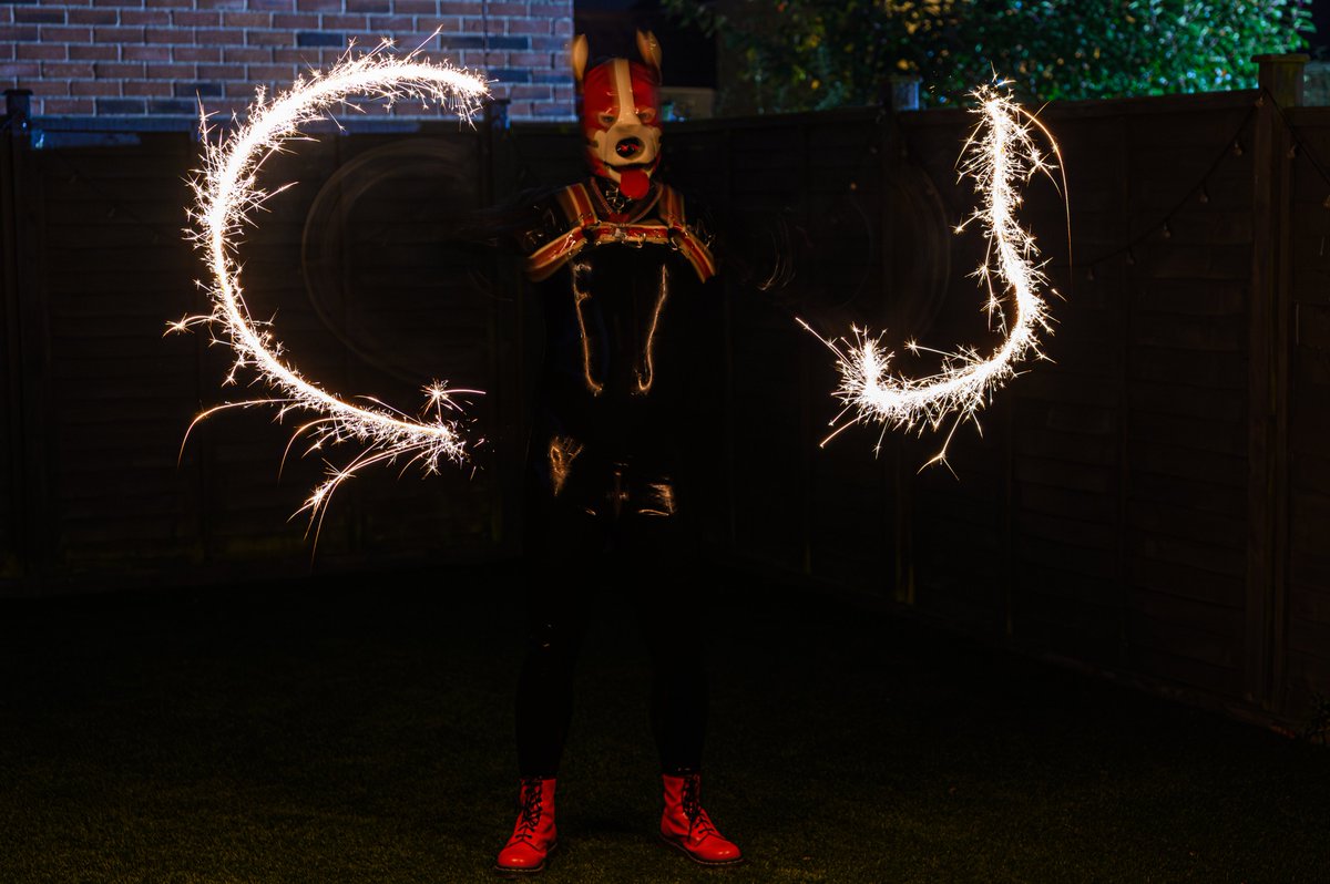 pup_cj's tweet photo. PUPPY HAS SPARKLEYS! 🎇

HAPPY BONFIRE NIGHT! https://t.co/abFQ7CNRPw