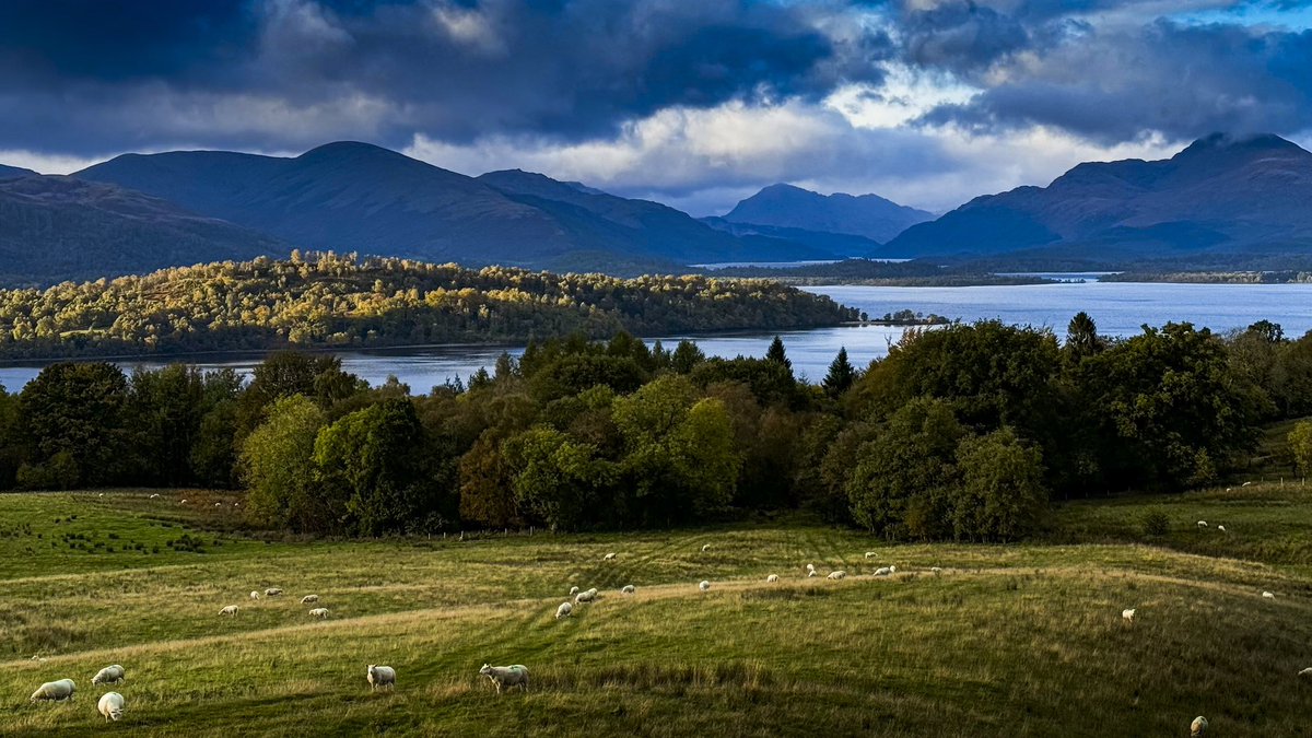 tcrtryon's tweet photo. Loch Lomond bathed in the afternoon autumn glow @VisitScotland https://t.co/C22tbaXXAS