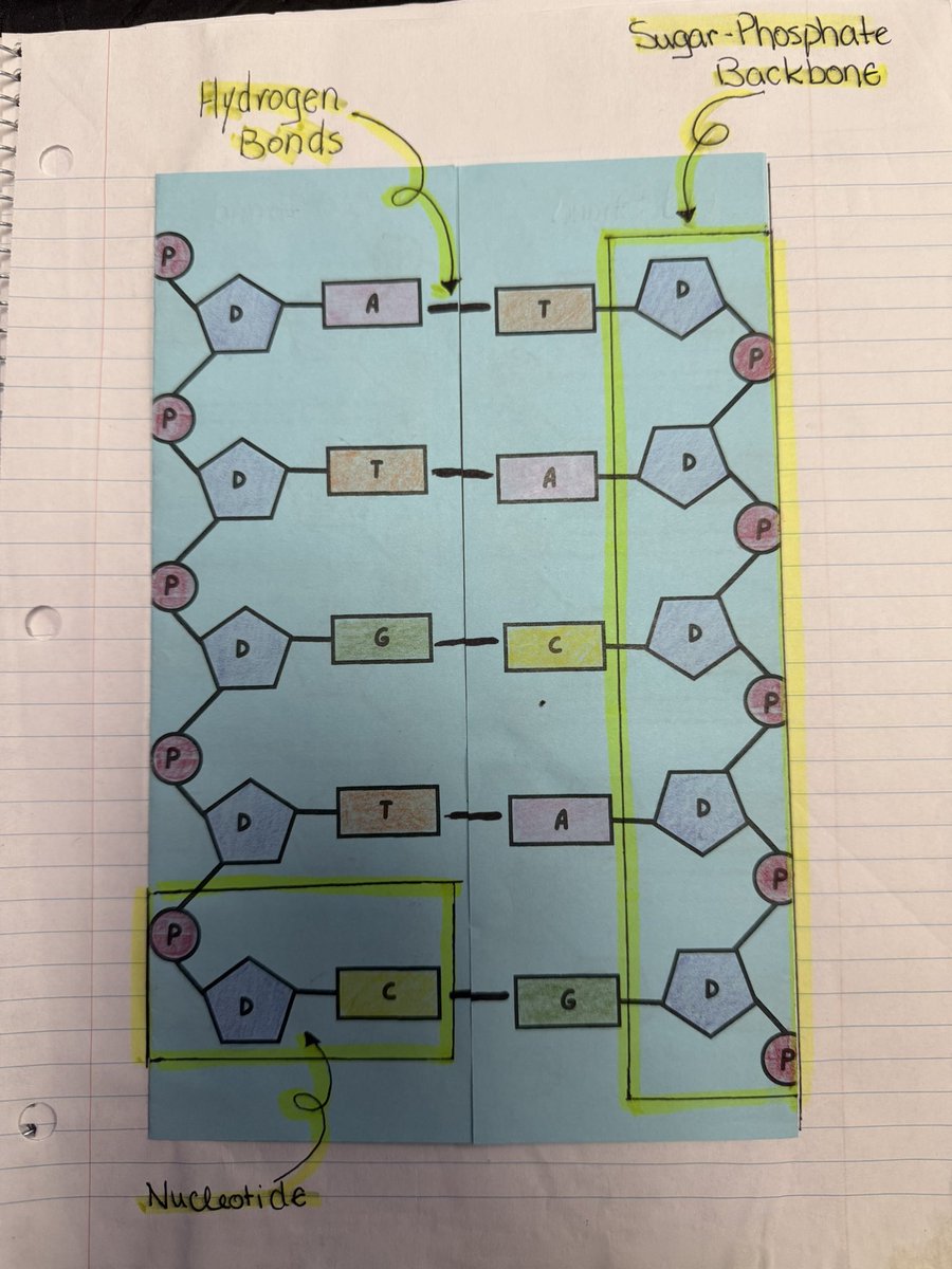 Mel Mrtz tweet media