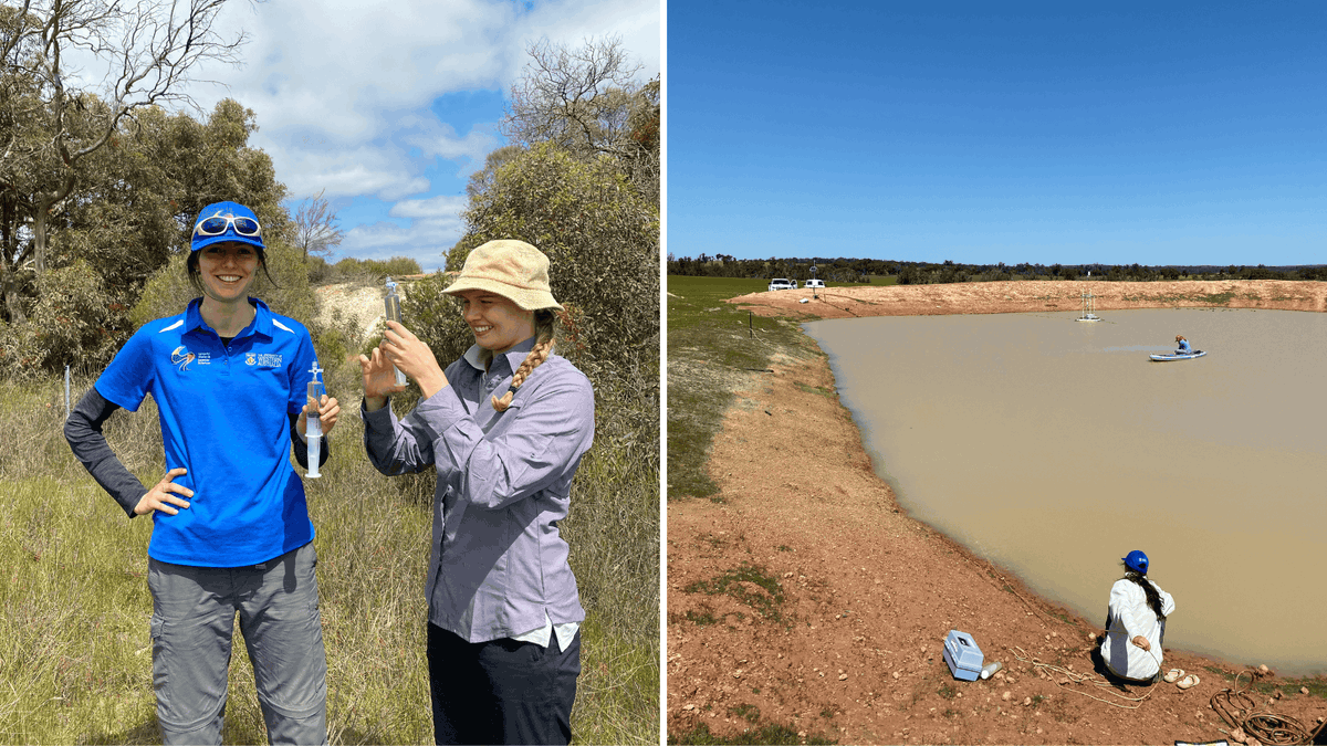 The <a href="/CWSS_UWA/">Centre for Water and Spatial Science</a> has deployed sensors at a pilot site to assess methane emissions from a farm dam. This project supported by the #WADroughtHub is analysing the benefits of improved water management on methane emissions, livestock health, &amp; spray programs.

➡️ hub.gga.org.au/preliminary-in…