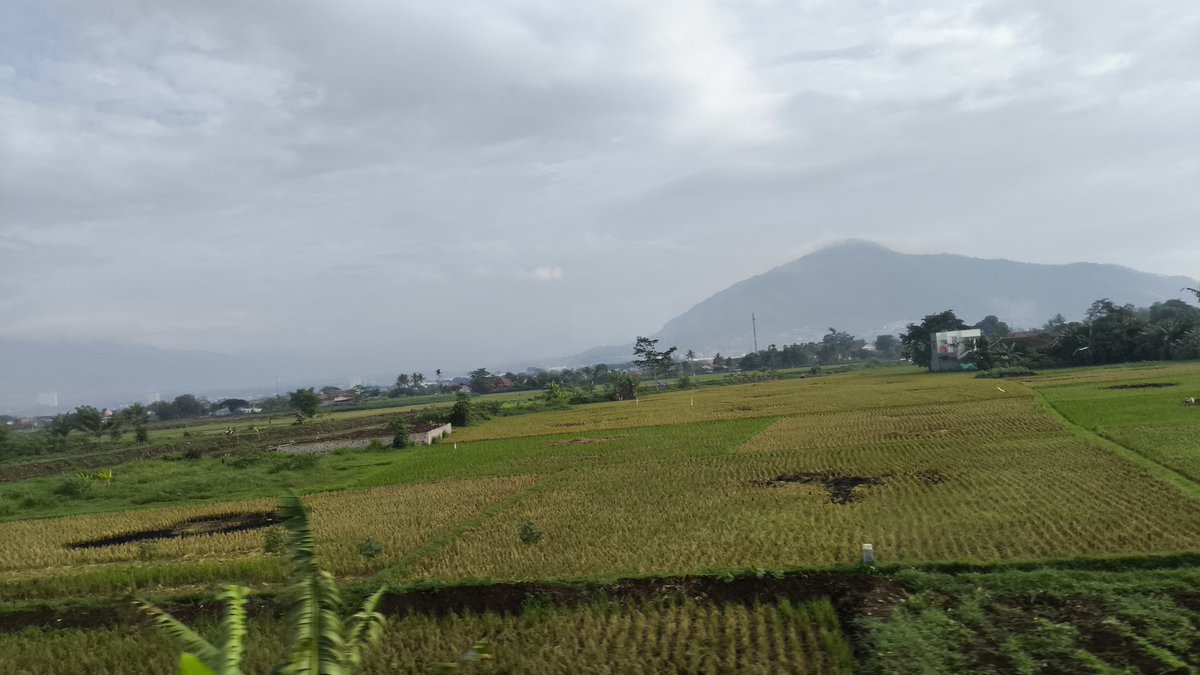 ekooke_aja's tweet image. GM

sampai ketemu di jakarta buat temen2 yang mau ke #Web3WEEKASIA2024

@Web3WeekAsia