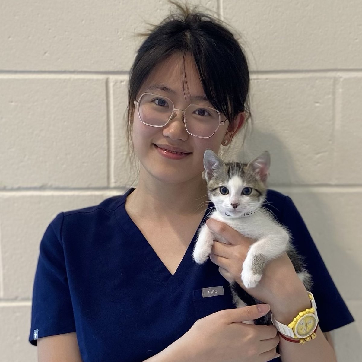 TuftsCAPP's tweet photo. Yichen Bai shared about her MS in Animals and Public Policy summer externship: “During my externship at MSPCA-Angell, I split my time between the spay and neuter clinic and the adoption center behavior team, later transitioning to full-time clinic work...” https://t.co/gtD7w88sRD