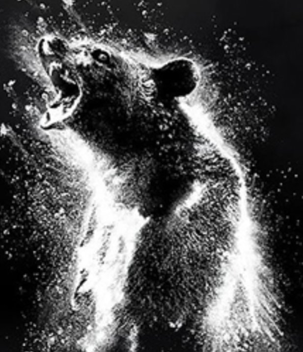 Maxaurelius1 tweet media